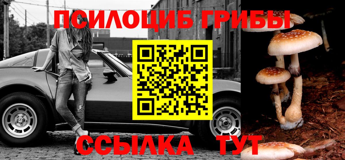 Семилуки  Галлюциногенные грибы прущие грибы  Вход с VPN  Галлюциногенные грибы GOLDEN TEACHER 